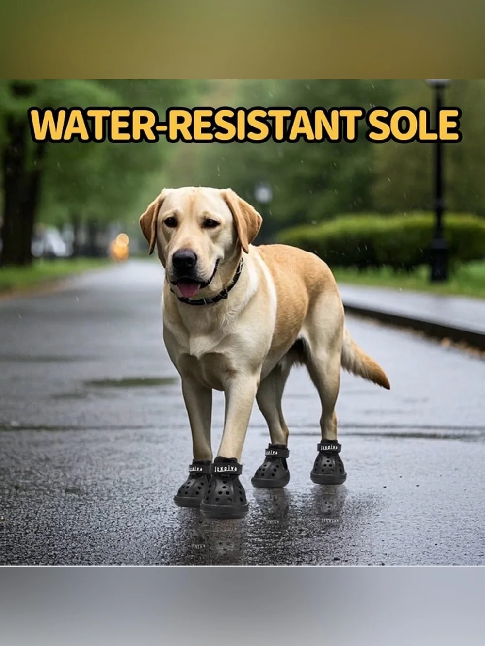 Dog Booties & Paw Protectors